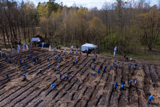 IVECO Poland zasadziło 5000 drzew